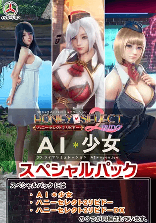 Honey Select 2 Libido / AI＊少女